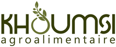 khoumsi